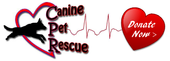 Gwinnett Business Canine Pet Rescue in Lawrenceville GA