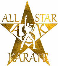 Gwinnett Business All Star Karate in Lawrenceville GA