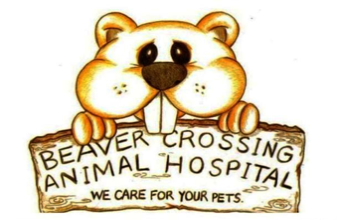 Gwinnett Business Beaver Crossing Animal Hospital in Lilburn GA