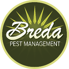 Breda Pest Management