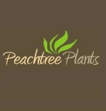 Gwinnett Business Peachtree Plants in Tucker GA