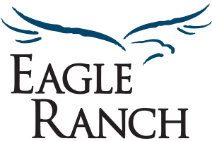 Gwinnett Business Eagle Ranch in Flowery Branch GA